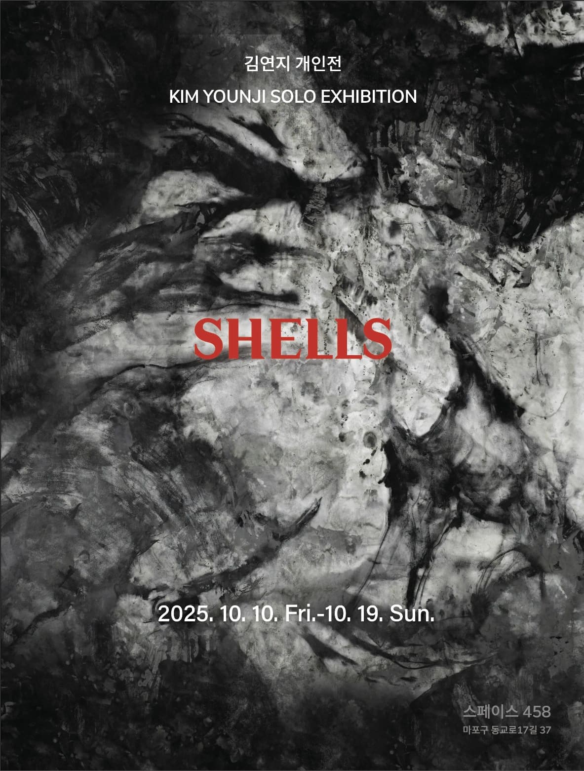 shells-